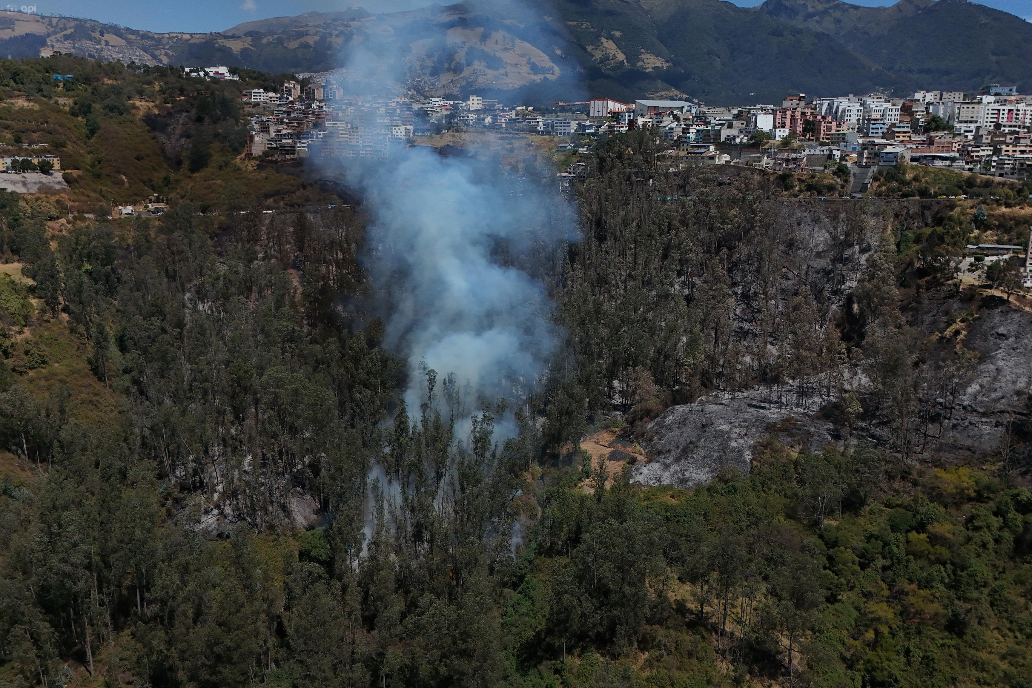 Ecuador registra ocho incendios forestales activos este viernes: Pichincha concentra cinco