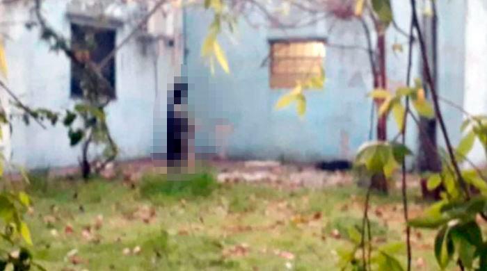 Justicia para ‘Negro’, el perro cruelmente ahorcado en el patio de una casa