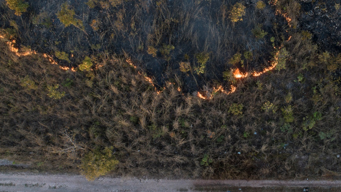 El Pantanal registra el mayor número de incendios en toda su historia