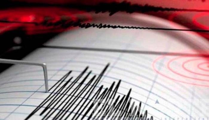 Fuerte temblor en Perú se sintió en varias ciudades de Ecuador; Geofísico da detalles