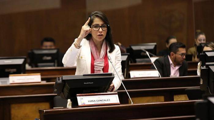 CNE negó la inscripción de los binomios encabezados por Luisa González y Fernando Villavicencio; tienen dos días para corregir errores