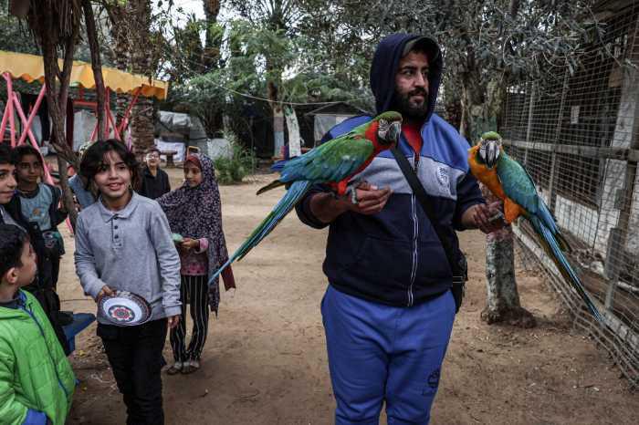 $!Niños refugiados junto a las aves para entretenerse de la guerra