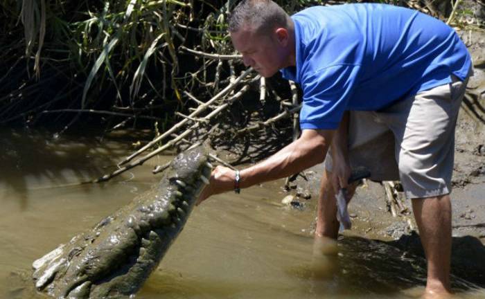 Los hombres-cocodrilo de Costa Rica, un imán para los turistas