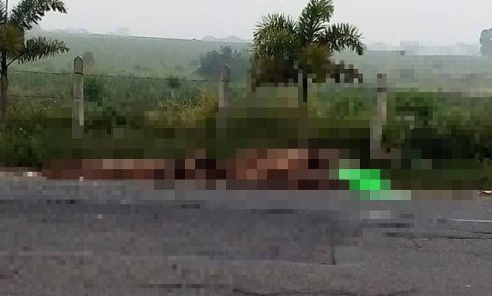 Hallan nueve cadáveres desnudos con signos de tortura en el estado mexicano de Veracruz
