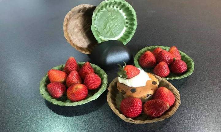 Desarrollan platos orgánicos biodegradables