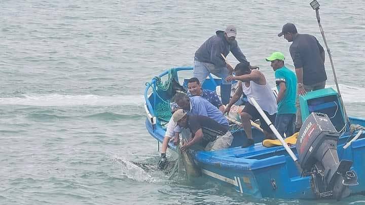 VIDEO: reptil nadó en balneario de Salinas, causando desconcierto entre los pobladores