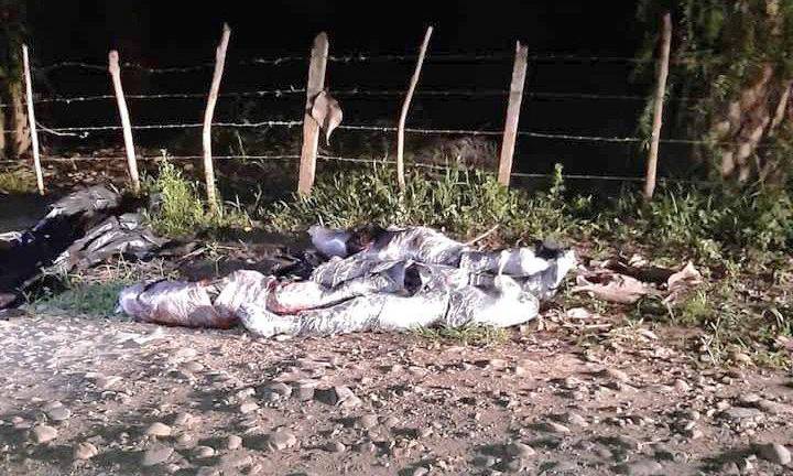 Cuatro jóvenes fueron asesinados y embalados en la vía Palenque-Vinces