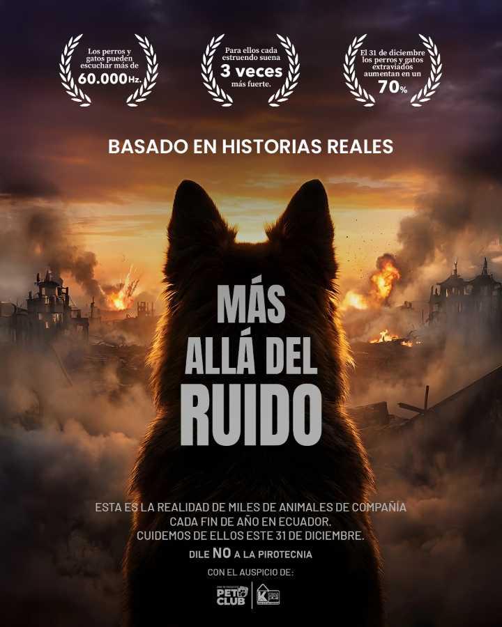 $!Sectores densamente poblados de Guayaquil concentran los mayores reportes de afectaciones en animales de compañía durante las celebraciones.