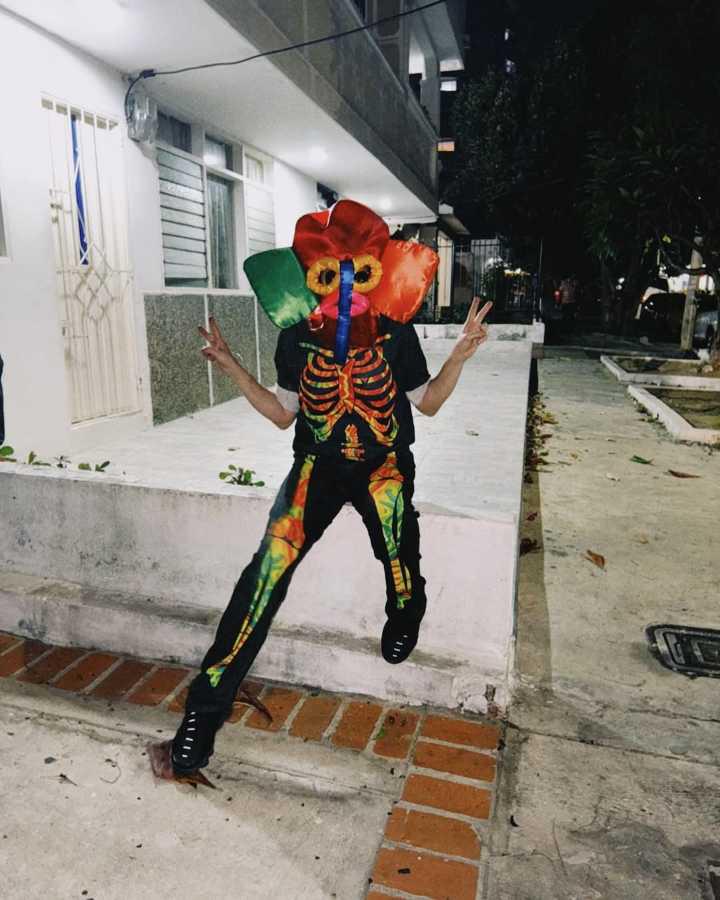 $!La cantante desfiló en el Carnaval de Barranquilla camuflada entre un colectivo de disfraces.