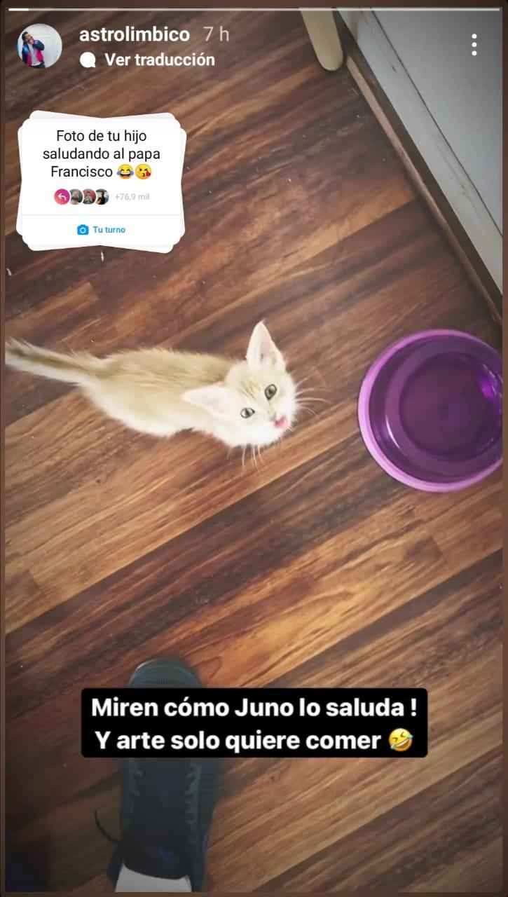 $!“Foto de tu hijo saludando al papa Francisco”, la respuesta de las redes sociales ante las declaraciones del pontífice