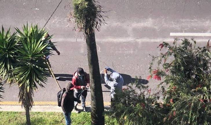 Policía alerta que personas están colocando y cruzando alambres en las calles de Quito; hubo un accidente