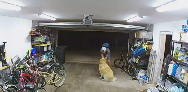 VIDEO: ladrón entró a robar a una casa y se quedó jugando con un perro en Estados Unidos