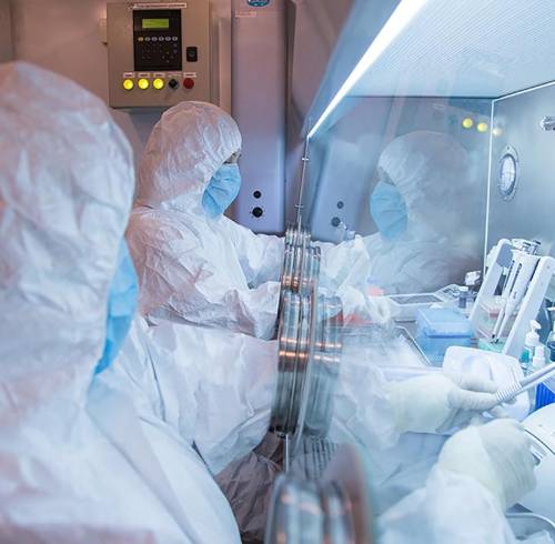 Especialistas trabajan en un laboratorio.
