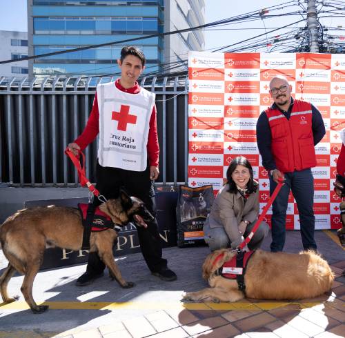 Cruz Roja fortalece la atención de los perros especialistas en búsqueda y asistencia comunitaria
