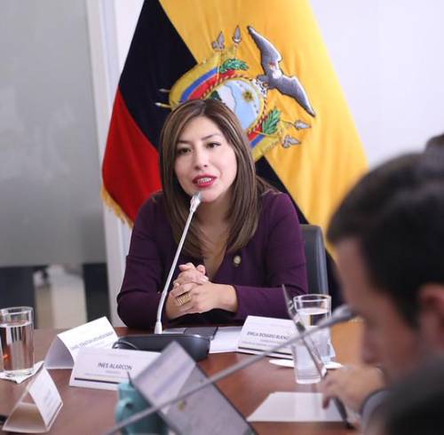 Inés Alarcón, presidenta de la Comisión de Soberanía, Integración y Seguridad Integral.