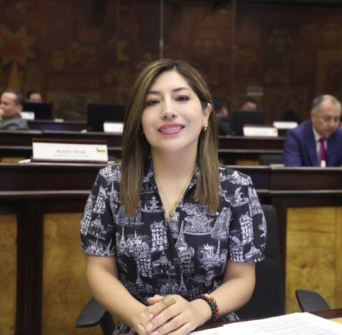 La asambleísta de ADN, Inés Alarcón.