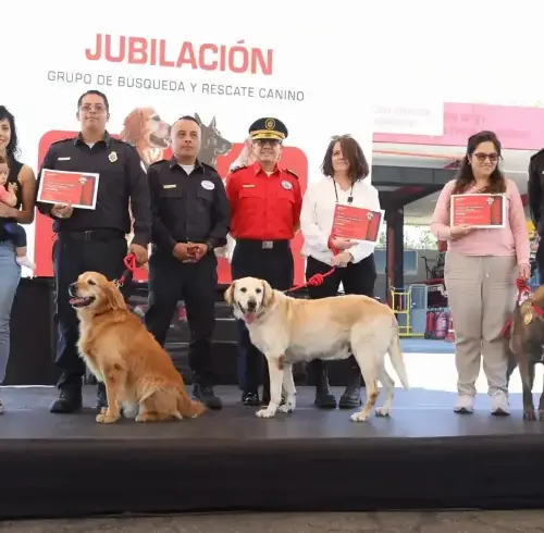 Cuerpo de Bomberos de Quito jubila a tres perros especialistas en búsqueda y rescate urbano