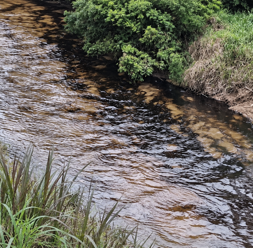 Fotografía que muestra la contaminación en el río Cupa.