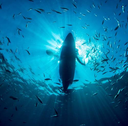 (FILES) Fish swim around a kayak photographed from underwater in a cove off Portofino, Italy on September 9, 2015. According to the European Union's Copernicus Marine Service, the world's oceans just experienced their hottest June on record, global average sea surface temperatures in June were 20.98C, beating the previous records of 2023 and 2024, and could set fresh highs in the months ahead as El Nino and climate change drive temperatures even higher, scientists said on July 01, 2026. (Photo by Olivier MORIN / AFP)