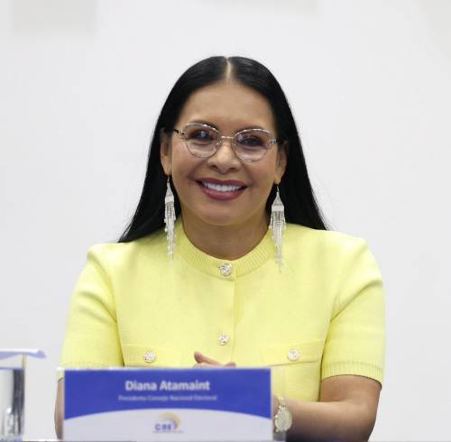 Diana Atamaint abandona el CNE.