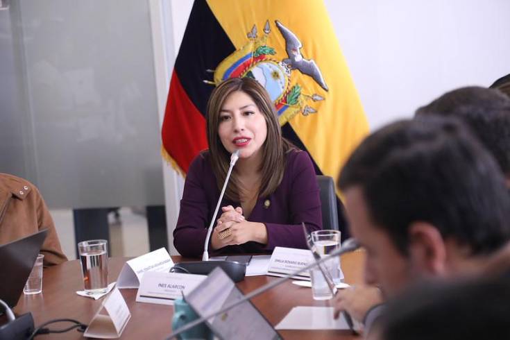 Inés Alarcón, presidenta de la Comisión de Soberanía, Integración y Seguridad Integral.