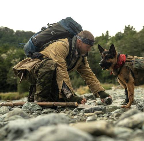 Brad Pitt protagoniza 'El Corazón de la Bestia', una historia de supervivencia junto a su perro de combate