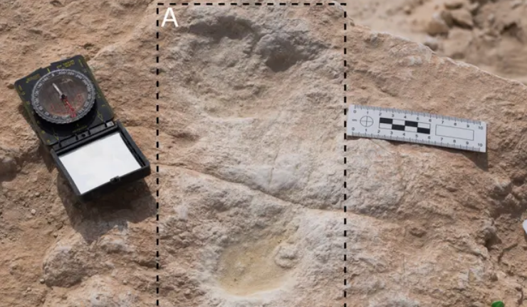 La evidencia más antigua de humanos en Arabia hace más de 120.000 años