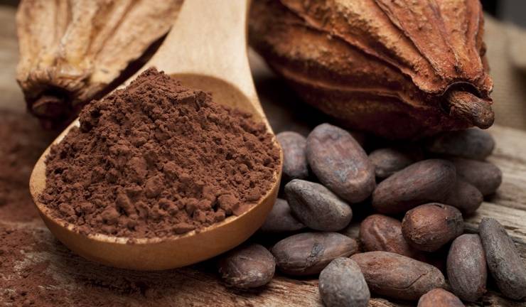 Quito será sede del I Encuentro Internacional sobre Cacao y Chocolate
