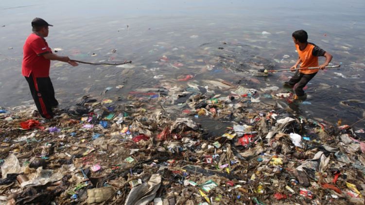 Humanos ingieren miles de partículas de plástico por año