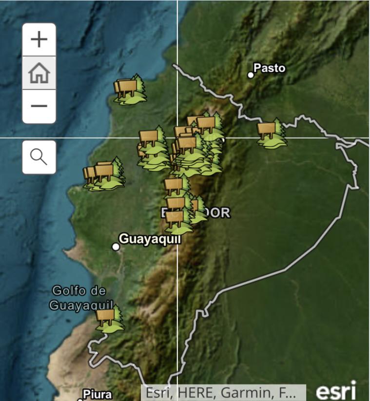 $!Zonas reforestadas en Ecuador bajo el marco del proyecto Un Millón de Árboles para Ecuador.