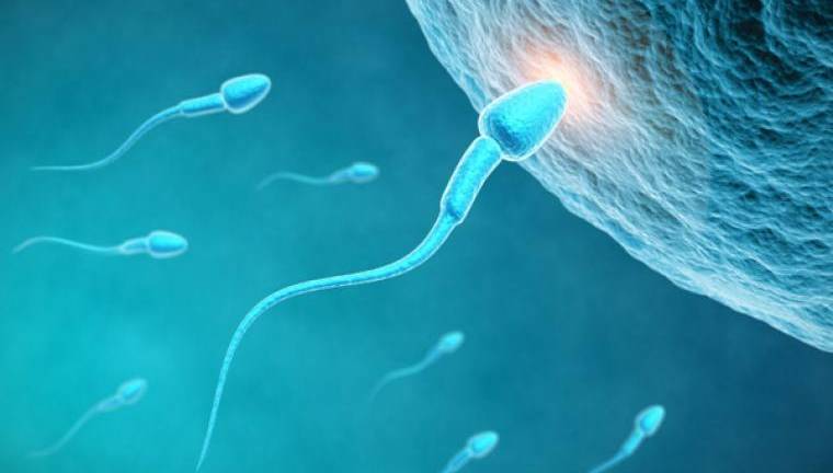 Ginecólogo concibió 17 hijos donando en secreto su esperma