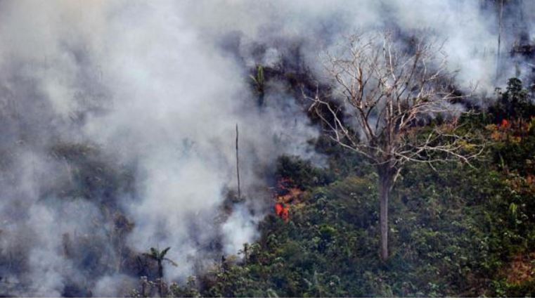 Incendios forestales alcanzan nivel crítico en Siberia y Lejano Oriente ruso
