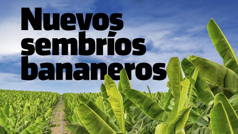 Revista Enfoque - Edición 70 - Febrero 2025
