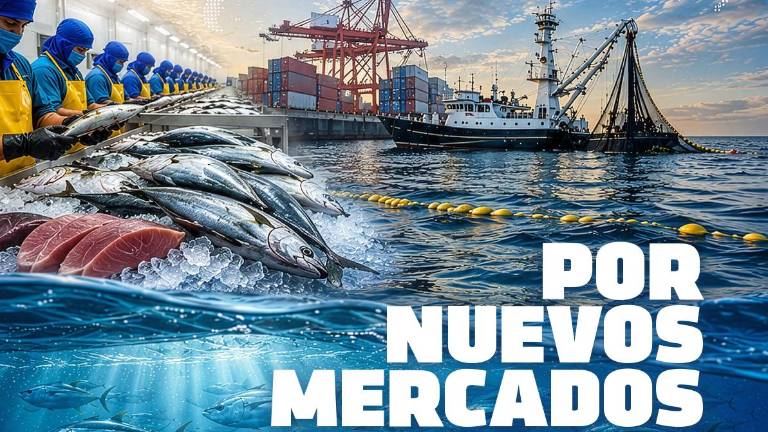 Enfoque - Mayo 2026