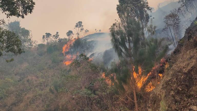 Imágenes aéreas del incendio forestal en el cantón Quilanga, provincia de Loja.