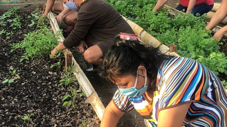 Proyecto ZIEMBRA busca levantar emprendimientos a través de huertos urbanos