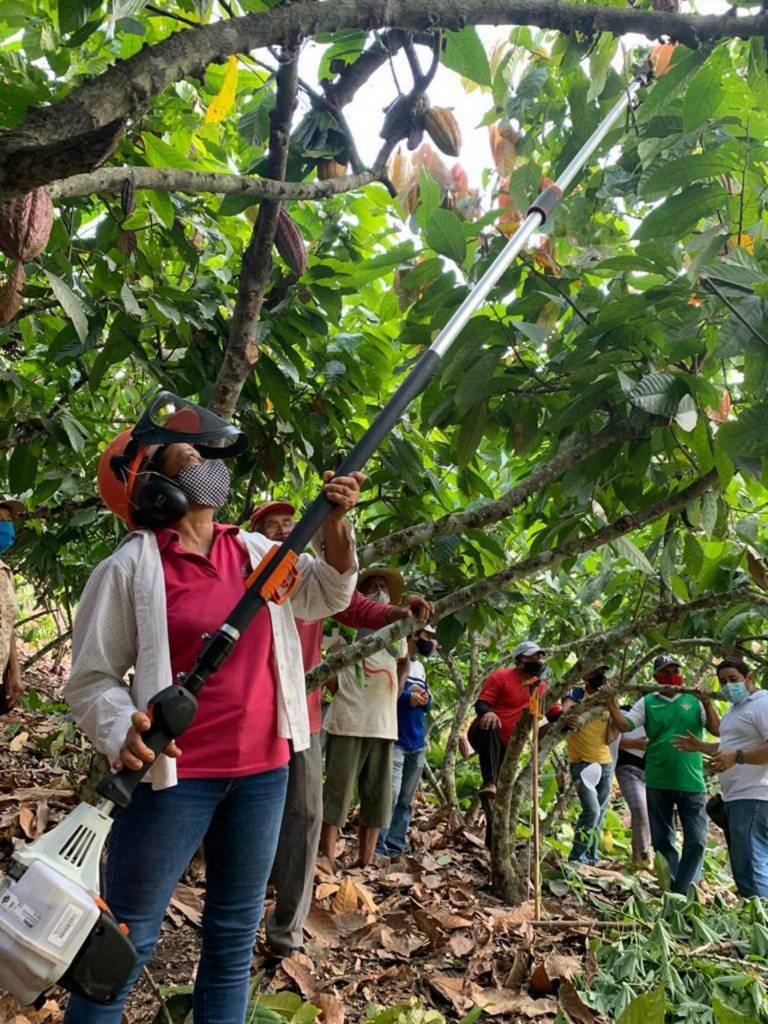 $!Las comunidades cercanas a Nestlé Ecuador participan en programas que aportan al desarrollo agropecuario del Ecuador como Cocoa Plan-SPL y Ecuamás.