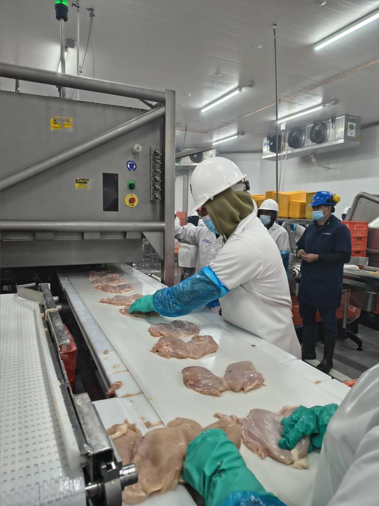 $!Trabajadores en la planta de procesamiento de Toledano, en Panamá.