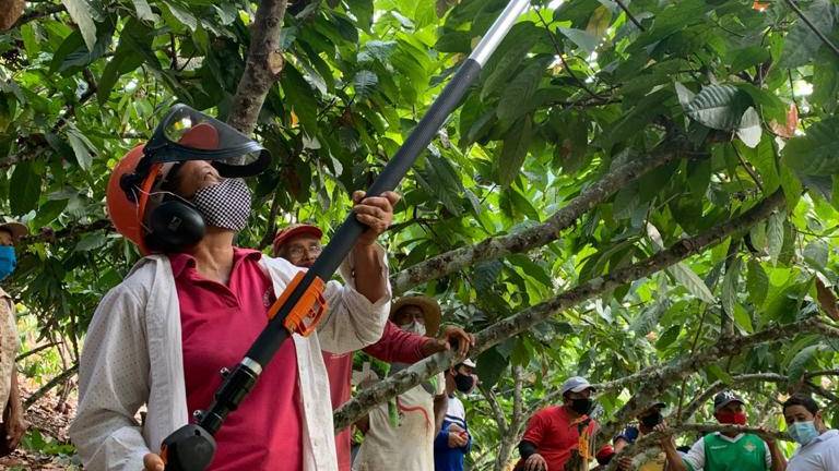 Cacaoteros reciben capacitación para mejora productiva