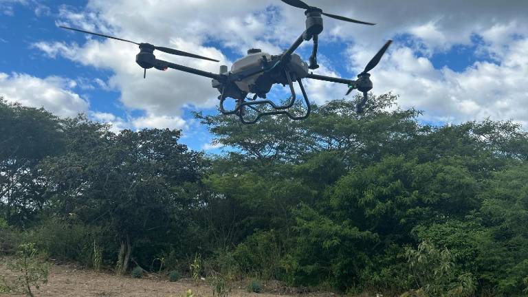 Avance científico: Drone podrá sembrar 1.500 semillas en 15 minutos en Ecuador