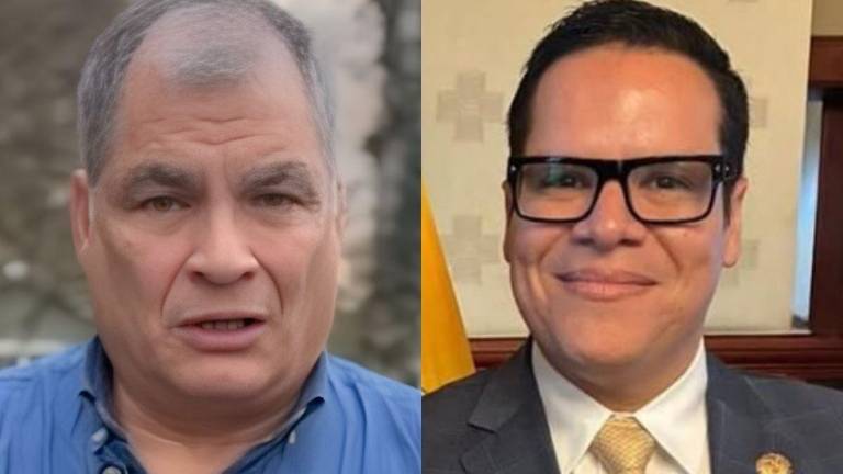 Están desesperados: Rafael Correa responde a José Julio Neira por recuento de casos de corrupción