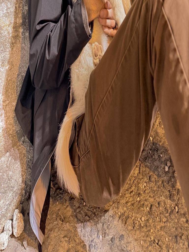 $!Carson, miembro del equipo de Shakira junto a 'Quito'.