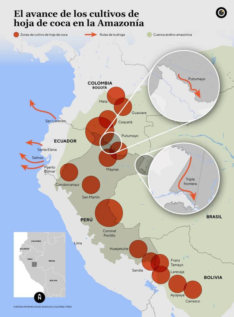 $!Narcodeforestación: el nuevo mapa de la coca destruye la Amazonía andina