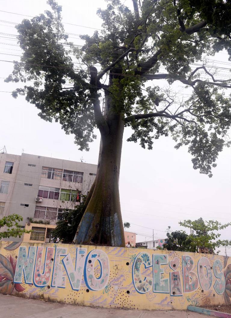 $!En Nuevo Ceibos se realiza los murales pintados por artistas urbanos.