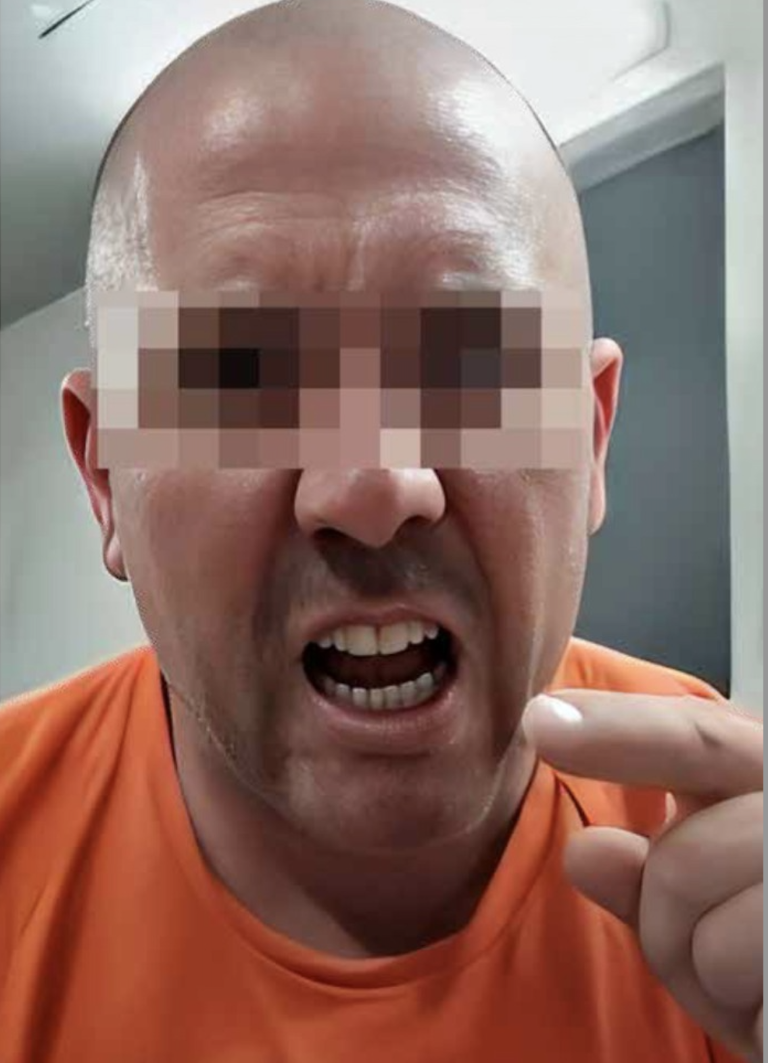 $!Captura de pantalla de la audiencia virtual de Jezdimir Srdan.