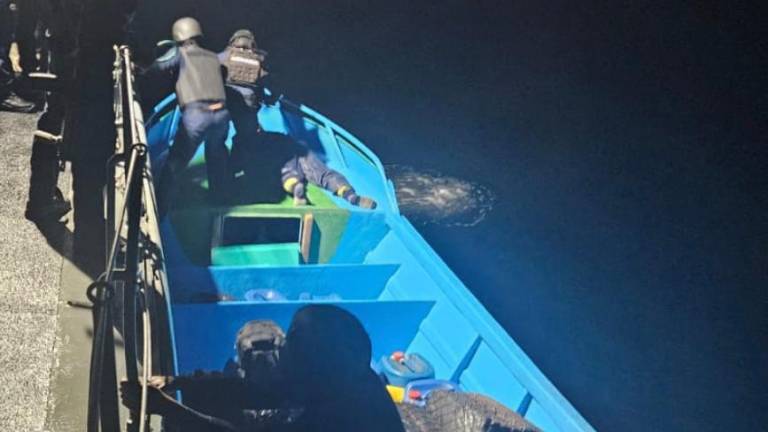 Ministro Reimberg anuncia incautación de 1,5 toneladas de droga frente a Manta: hay dos detenidos