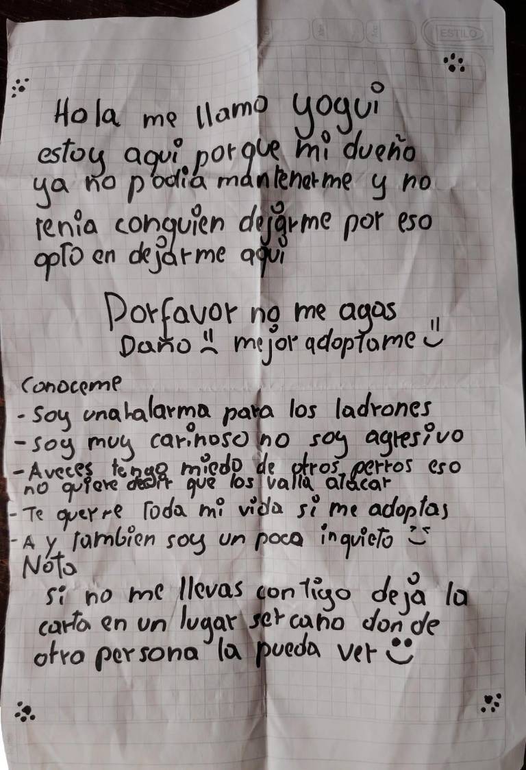 $!En la nota, escrita con faltas de ortografía alguien pedía que lo adoptaran.