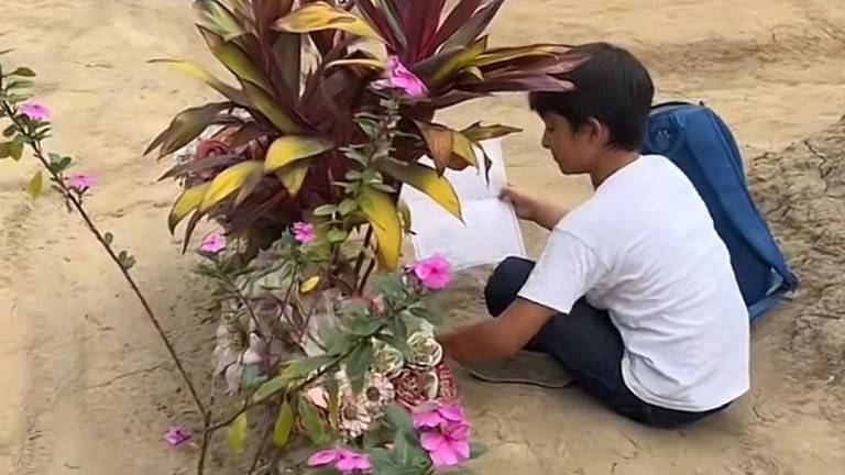 VÍDEO: Niño en Colombia hace sus tareas junto a la tumba de su mamá