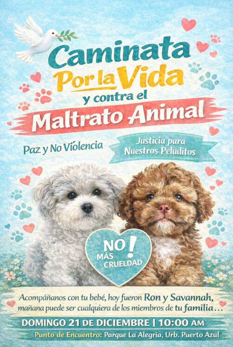 $!Flyer de la convocatoria a la caminata pacífica.