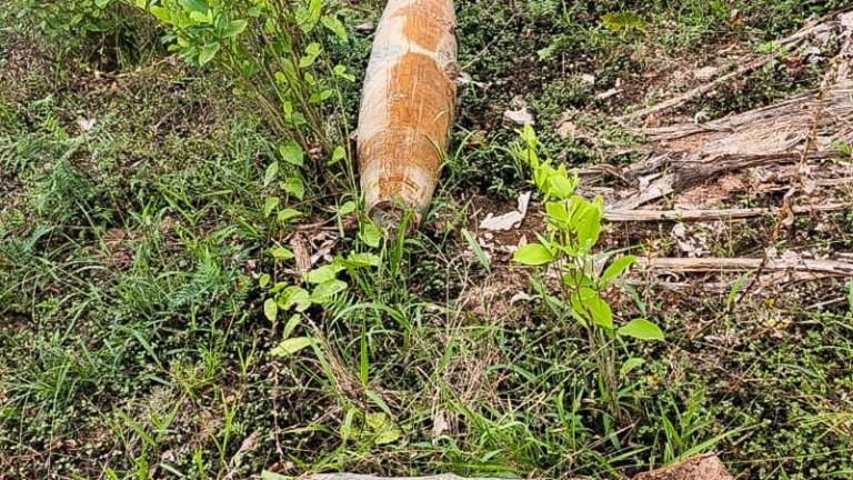 Ministerio de Defensa admite que la bomba hallada en Colombia fue lanzada durante una operación en Ecuador